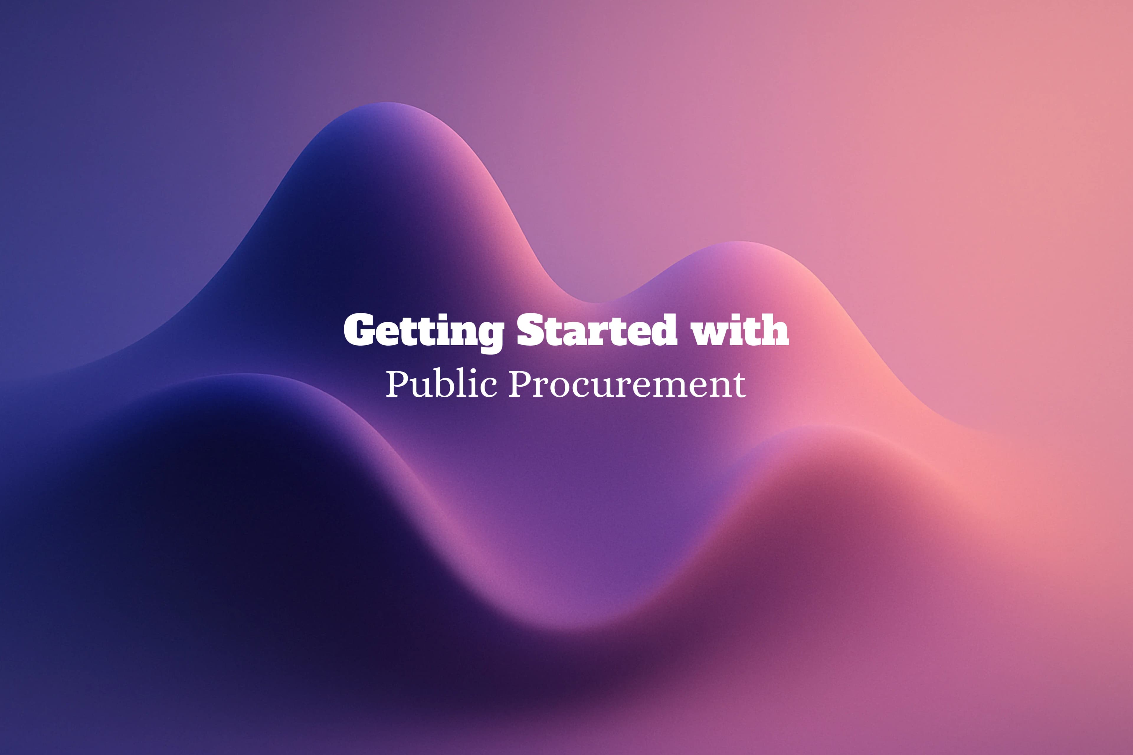 Getting Started with Public Procurement