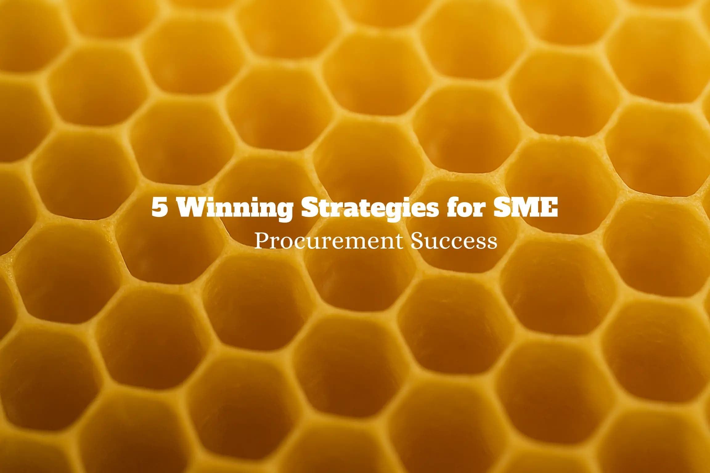 5 Winning Strategies for SME Procurement Success